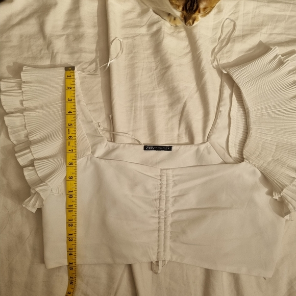 Zara Crop Top - Picture 5 of 5